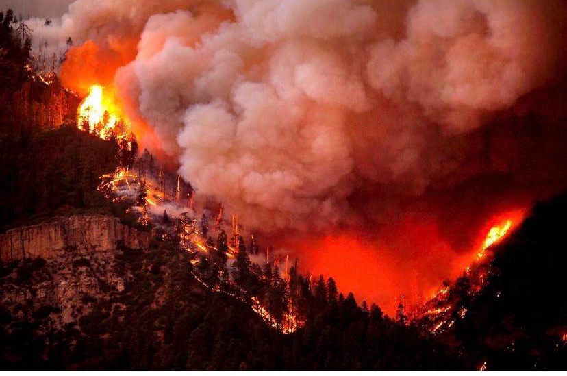 NEARLY A 1000 HOMES DESTROYED AS COLORADO WILDFIRES CONTINUE TO BURN
