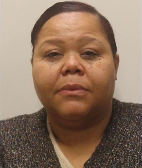 ILLINOIS WOMAN FACING MULTIPLE CHARGES AFTER ALLEGEDLY STABBING HER SON