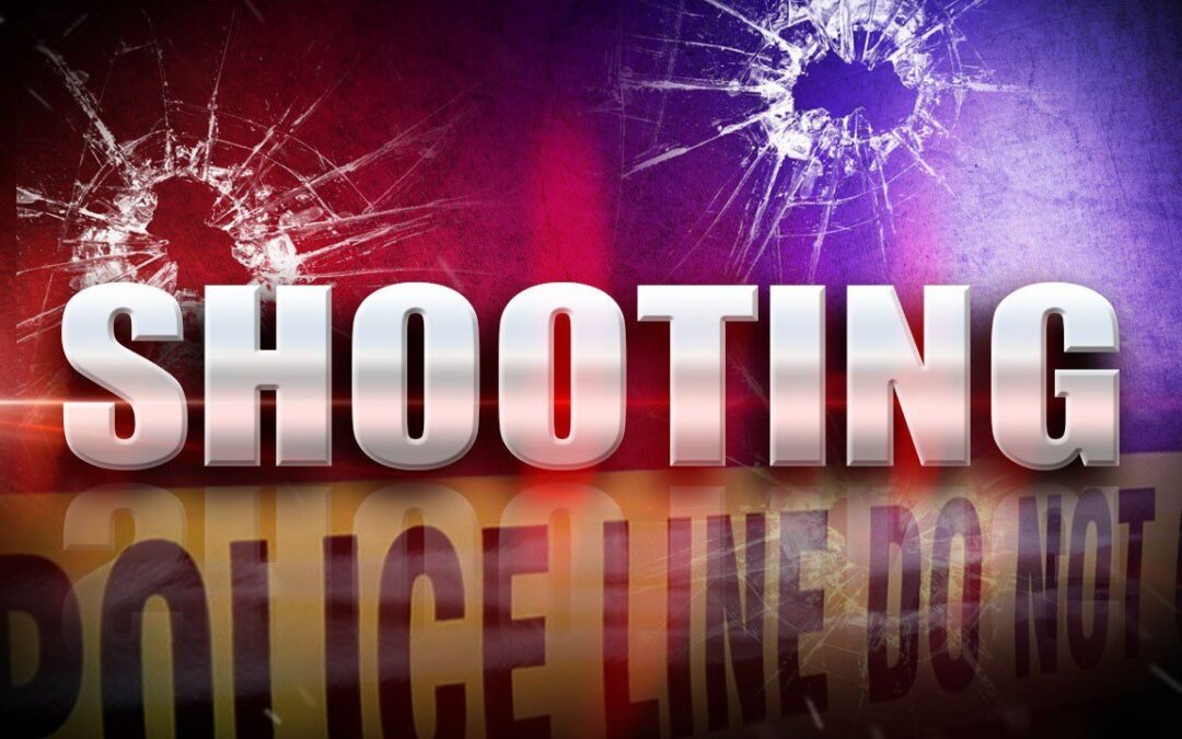 OVERNIGHT SHOOTING LEAVES ONE MALE DECEASED IN NORTH COUNTY
