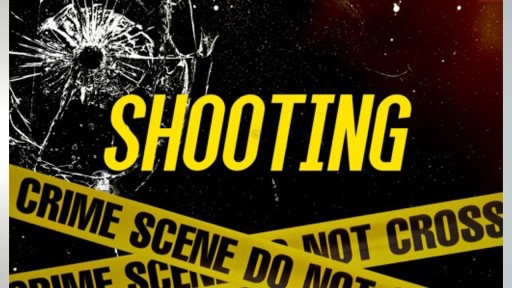 20-YEAR-OLD SHOT AND KILLED IN WOODSON TERRACE